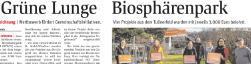 klar umfrage bericht klein