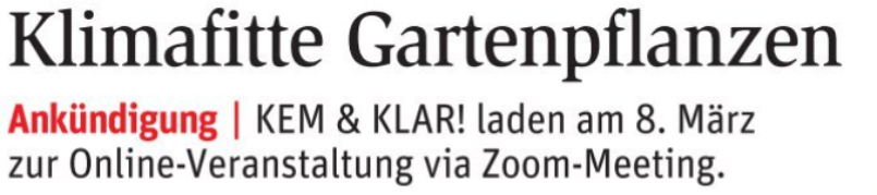 klar umfrage bericht klein