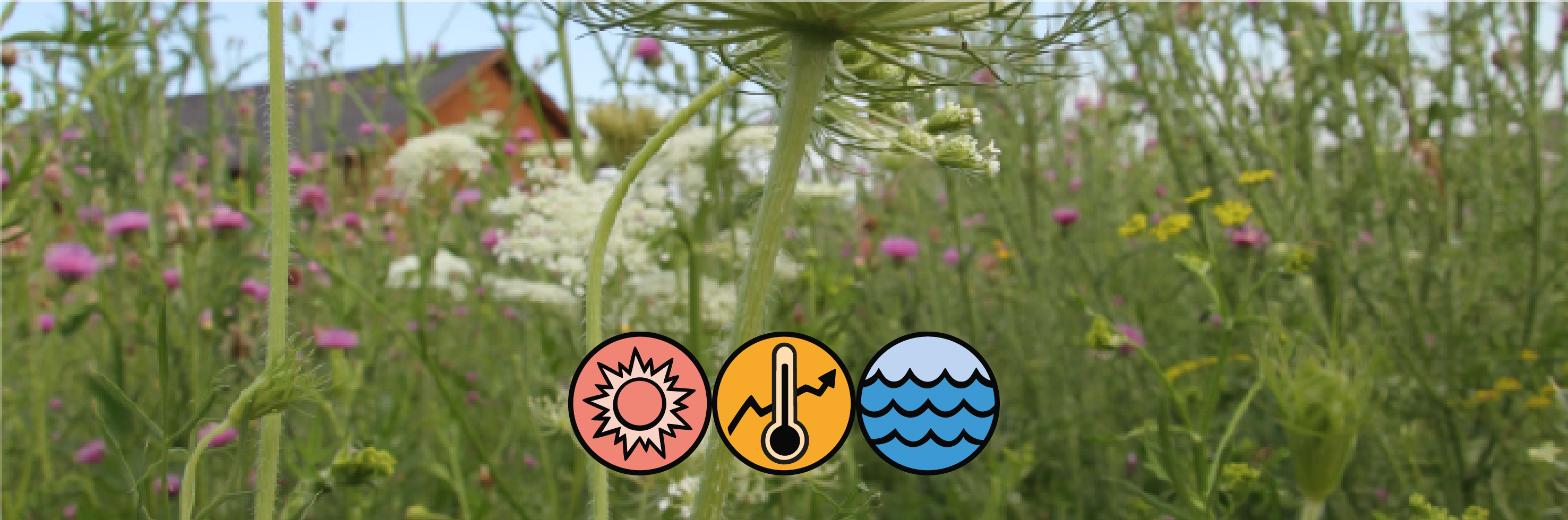 gesundheit buttons 01